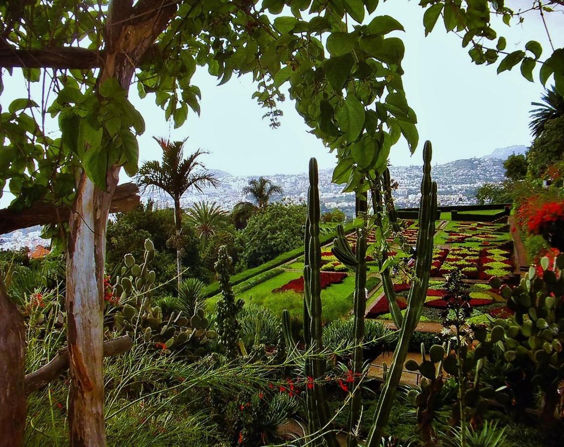 Apartment - The Historical Center Of Funchal In Alojamento Local المظهر الخارجي الصورة