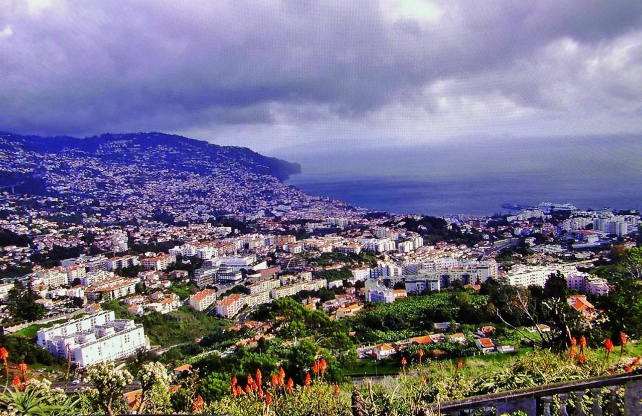 Apartment - The Historical Center Of Funchal In Alojamento Local المظهر الخارجي الصورة