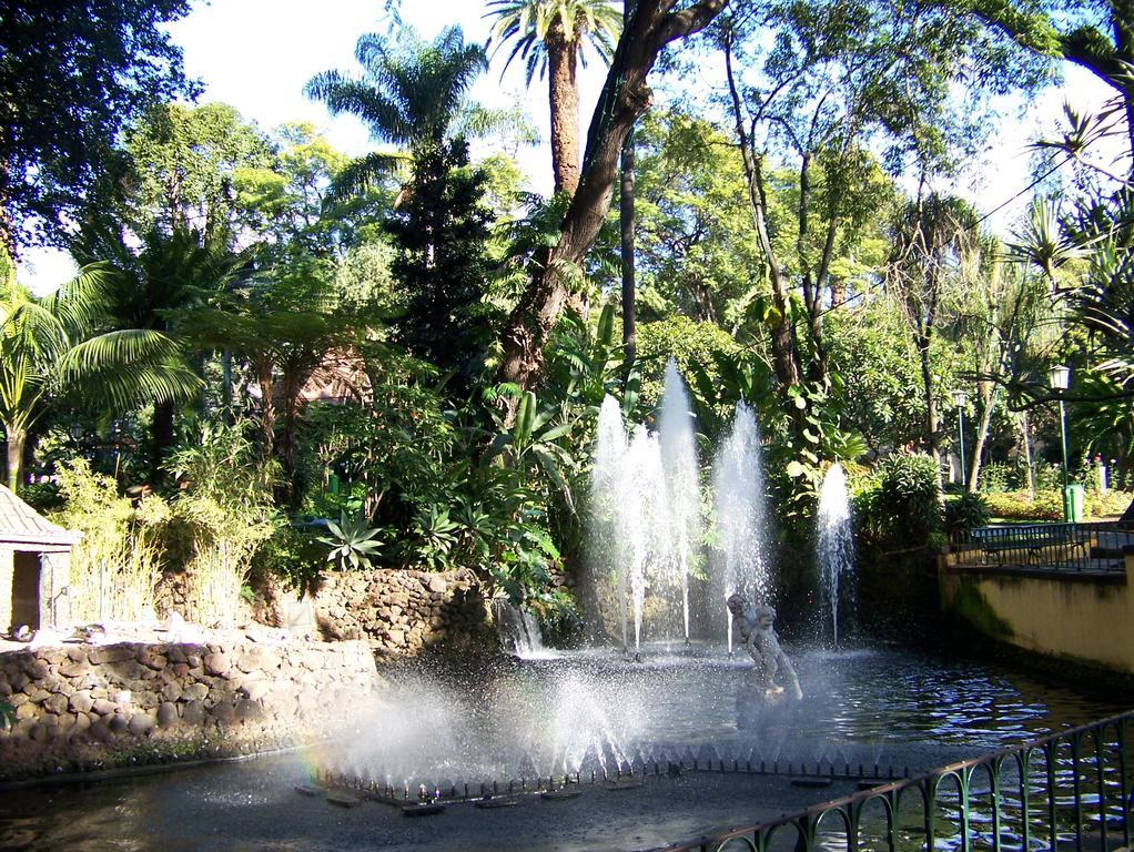 Apartment - The Historical Center Of Funchal In Alojamento Local المظهر الخارجي الصورة