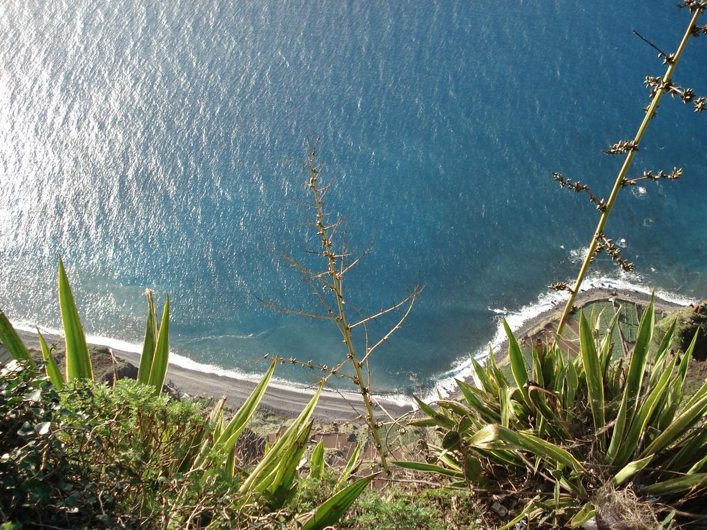 Apartment - The Historical Center Of Funchal In Alojamento Local المظهر الخارجي الصورة