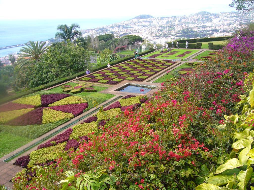 Apartment - The Historical Center Of Funchal In Alojamento Local المظهر الخارجي الصورة