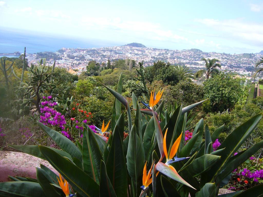 Apartment - The Historical Center Of Funchal In Alojamento Local المظهر الخارجي الصورة