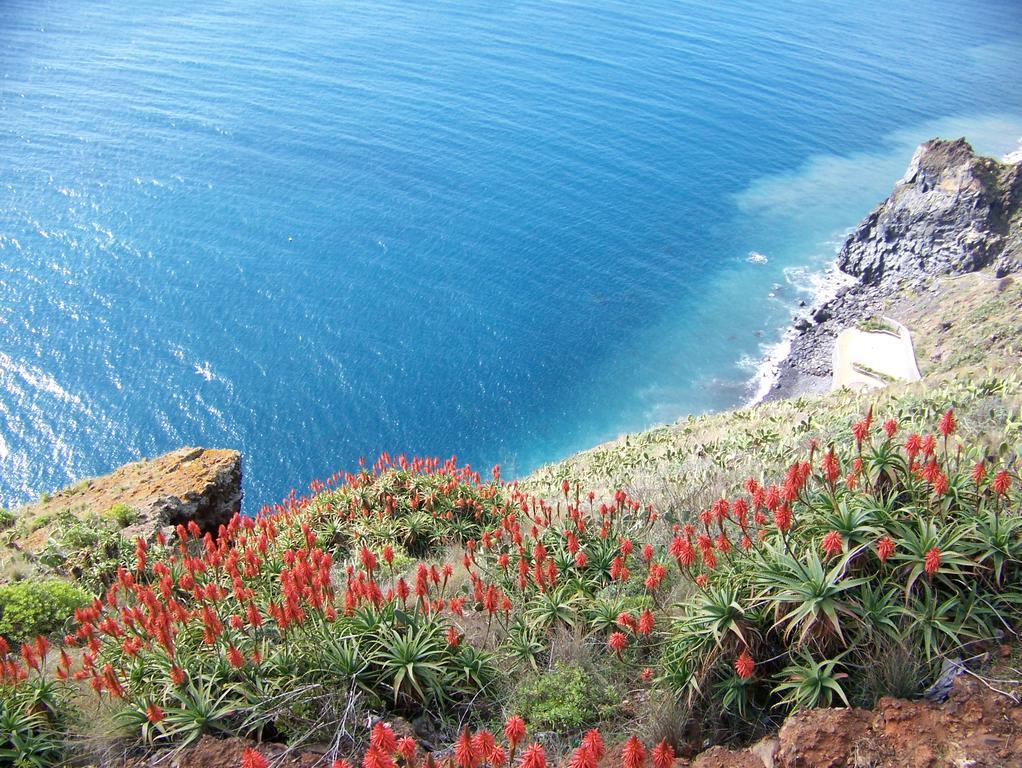 Apartment - The Historical Center Of Funchal In Alojamento Local المظهر الخارجي الصورة