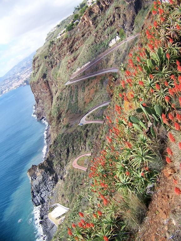 Apartment - The Historical Center Of Funchal In Alojamento Local المظهر الخارجي الصورة