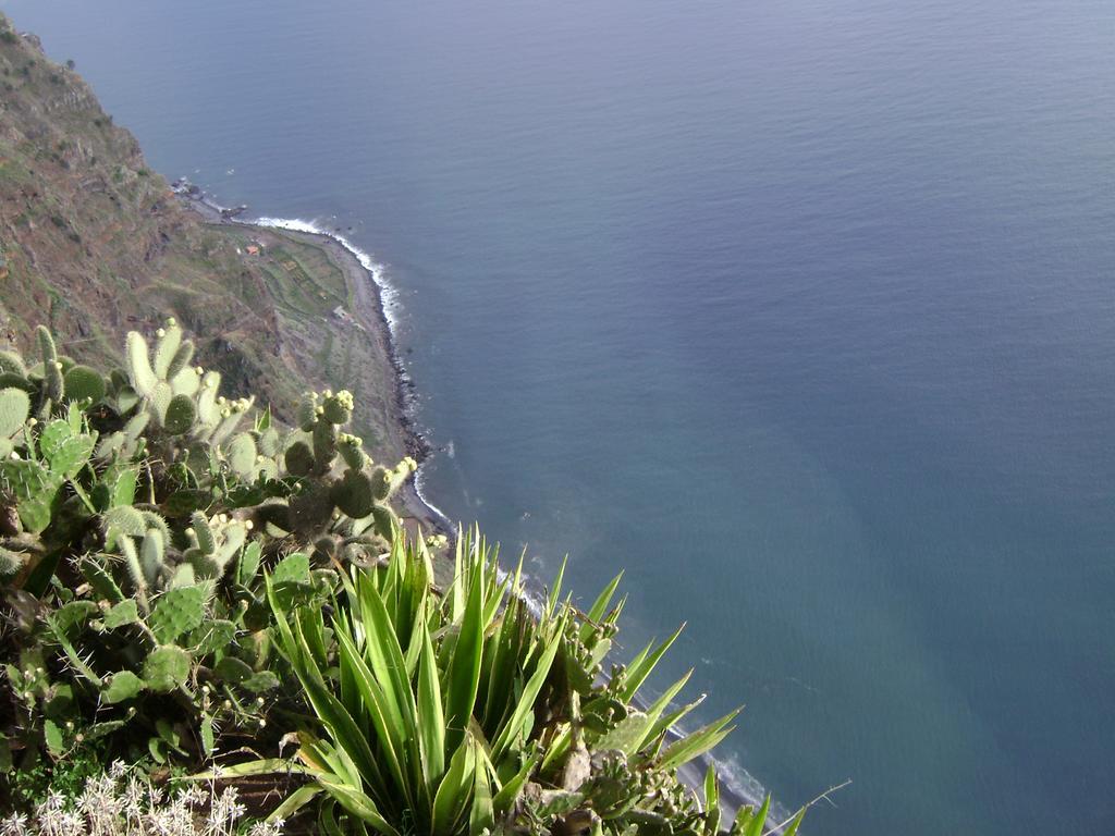 Apartment - The Historical Center Of Funchal In Alojamento Local المظهر الخارجي الصورة